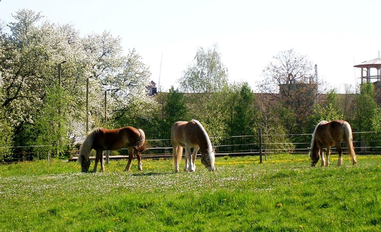 Vila Reiterbauernhof Schonlehenhof Mank Exteriér fotografie